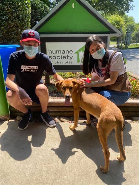 Humane society of charlotte nc - Adoption Center. 704-377-0534. 1348 Parker Drive, Charlotte, NC 28208 Open to the public: Sunday-Thursday: 11am-5pm Friday: 11am-7pm Saturday: 11am-6pm